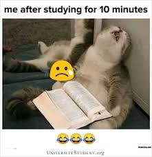 Me After Studying For 10 Minutes Sleep Tired Lazy Studying Student Memes College Memes Studying Memes