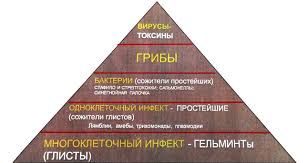 Kak Uznat Est Li U Menya Parazity Topdoc Me Medicinskie Stati I Blogi V Almaty