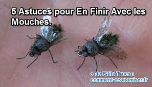 Epingle Sur Anti Insectes Et Anti Parasites