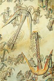 93 Of The Best Wildlife Photos Of 2018 Warning Some Images May Be Too Brutal