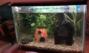 The Best Aquarium Light Timers For 2020 Get Aquarium Fish Aquarium Lighting Lights Timer Fish Tank Lights