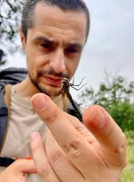 Marco Bertolini, Guida ambientale Escursionistica