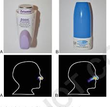 Image result for Intranasal Ciclesonide