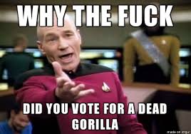 If you share on your social media, please use the #ciworks or [submitted by: What The Fuck Is Wrong With You People Meme On Imgur