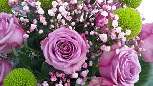 6 603 866 Flower Photos Free Royalty Free Stock Photos From Dreamstime