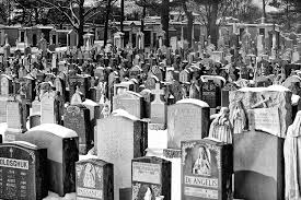 Image result for graveyard with houses