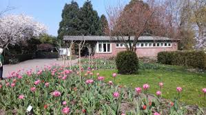 Bitte buchen sie für einen besuch der gewächshäuser ein onlineticket der kategorie „inkl. Botanischer Garten Hamburg Und Mehr