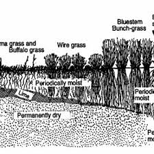 We did not find results for: Pdf Soil Formation