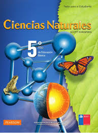 Busca tu tarea de ciencias naturales cuarto grado: Ciencias Naturales 5 Ciencias Naturales 5 Ciencias Naturales Ciencias Naturales 4