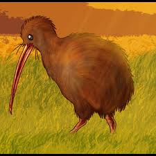 How To Draw A Kiwi Step By Step Drawing Guide By Dawn Dragoart Com Jast print and add a frame! how to draw a kiwi step by step