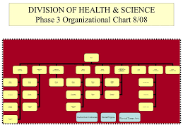 Santa Fe Community College Health And Sciences Division