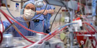 Cardiovascular Perfusionist - Explore Health Care Careers - Mayo Clinic  College Of Medicine & Science