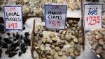  Relaxed mussels? Opioids found in Puget Sound shellfish hint at crisis