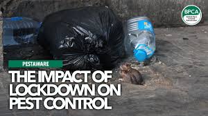 Clark pest control is located in canyon country city of california state. The Impact Of Lockdown On Pest Control