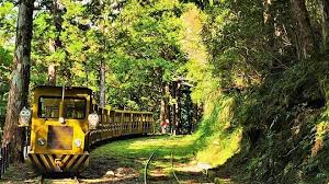 Iphone 12 pro 256g mgmt3ta/a 太平洋藍. å®è­å¤ªå¹³å±±æ£®æè¹¦è¹¦è»xç¿ å³°æ¹äºæ¥é å¥ä½å¤ªå¹³å±±è Tripbaaè¶£å§
