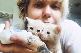 Fundraiser by Beca Lewis Skeels : Hope Springs Special Needs Cats