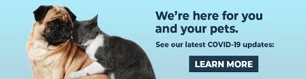 13,824 likes · 361 talking about this · 782 were here. Pets Plus Natural Offering Home Delivery In Store Pickup
