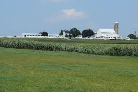 Black Barn Lebanon Ohio File Amish Dairy Farm 4 Jpg Farm Life Farm Day Dairy Farms