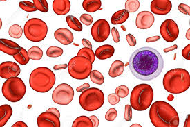 Its size and flexibility allows it to pass or squeeze through even the smallest of blood vessels. Hemotransfusion In Treatment Of Anemia 3d Illustration Showing Stock Photo Picture And Royalty Free Image Image 110985339