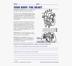 A healthy diet is a balancing act. Life Science Worksheets High School Hd Png Download Transparent Png Image Pngitem