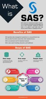 Sas Assignment Help For Students Data Science Learning Data Science Infographic Sas Programming