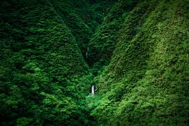 Maui Now - News update