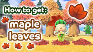 How To Find Maple Leaves Acnh Maple Leaf Maple Animal Crossing