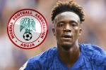 Tammy Abraham News