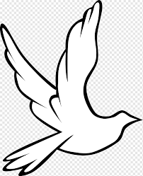 The importance of catholic symbolism or icons in religious art. Holy Spirit In Christianity Doves As Symbols Drawing Dove S S Christianity White Hand Png Pngwing