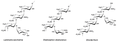 Structural Motifs Of Fcsps Fucoidan From Some Brown Seaweed Species Download Scientific Diagram