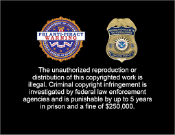 Image result for Piracy