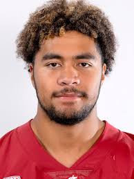 Washington State Cougars 2024 College Football Transfer Portal Position  Rankings