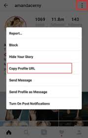 Instagram profile picture size tool is the best way to get a user's circle sized picture and view it in original size, full hd! How To Save Instagram Profile Picture By Beendal Patel Medium