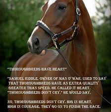 Pin By Nicole On In Memory Of Man O War Man O Man War