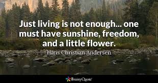 Just Living Is Not Enough One Must Have Sunshine Hans Christian Andersen Quotes Nature Quotes Frank Lloyd Wright Quote Life Quotes To Live By
