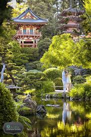 San Francisco Japanese Tea Garden Photos Tea Garden California Engagement Photos San Francisco Pictures