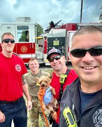 On June 6, 2024 around 1315hrs, Grissom Fire Department along with Pipe  Creek Township Volunteer Fire Department, Miami County Indiana and City of  Peru Fire Department were dispatched to a 10-50 motor