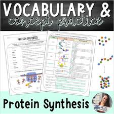 The bridge between dna and protein synthesis is the nucleic acid rna. Biology Protein Synthesis Worksheets Teaching Resources Tpt