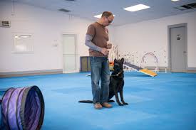 To help pets flourish and feel confident in their own fur. We Offer An Array Of Dog Training Options Perfect Pet Resort