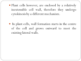 Check spelling or type a new query. Cell Division Plant Physiology Ppt Download