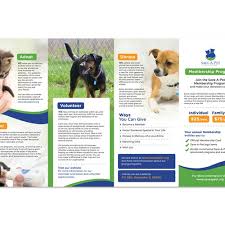 31664 n fairfield rd, grayslake, il 60030. 99nonprofits Brochure Design For Save A Pet Brochure Contest 99designs