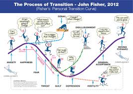 The Process Of Transition Fisher S Personal Transition Curve 1 Png 728 515 Pixels Change Management Business Management Business Management Degree
