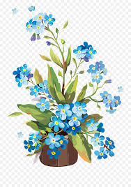 Forget me not flowers painting. White Library Forget Me Not Flowers Painting Flowers With Gouache Png Free Transparent Png Images Pngaaa Com