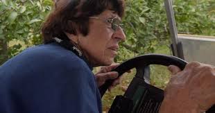 PHOTO GALLERY: Sandy Binder collects and bags apples