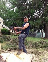 61bb387b-01e2-4b75-9bcd-fb47f0396216