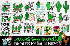 Download Cactus Svg Bundle Free Design Of The Week Design Bundles