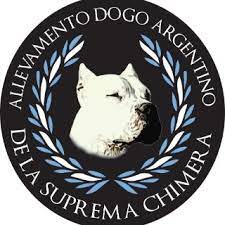15050 san giuliano nuovo (al). Allevamenti Dogo Argentino In Piemonte Elenco Allevatori Italiani