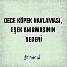Allah Ayet Hadis Hzmuhammedsav Ibretlikhikayeler Islam Kuranikerim Namaz Ozlusozler Sozler En Guzel Ozlu Sozler Ibretlik Hikayel Math Math Equations