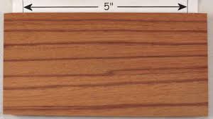 Image result for Berlinia grandiflora