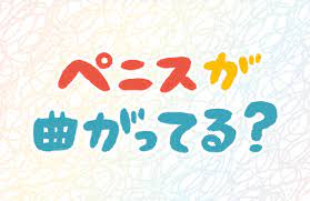 ちんこが曲がっているのはなぜ？ | セイシル